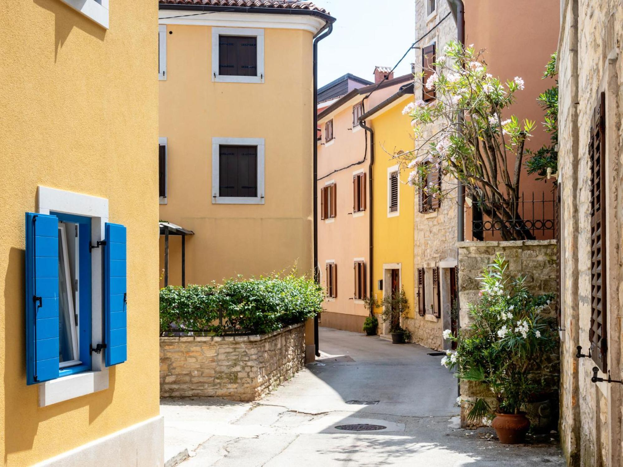 Holiday Home Villa Joy By Interhome Novigrad Istria エクステリア 写真